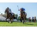  Carrera: P.Duque de Osuna Monta: V.Janacek Caballo: Donental